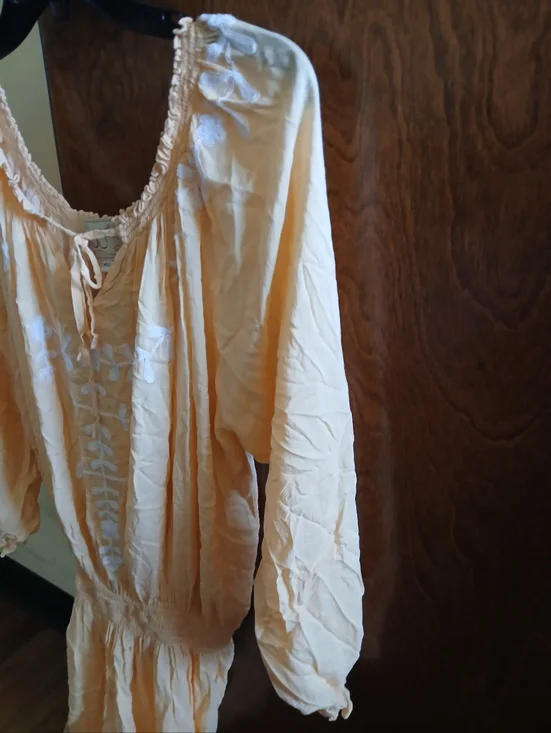 NWOT/ GAYA peach embroidered semi-sheer mini dress - Picture 5 of 9